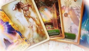 Sleepy Wisdom The Navigator's Tarot Readings and Intuitive Healing Tracey Newman